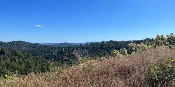 Bear Creek Road