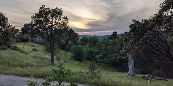 3279 Quail Run Road