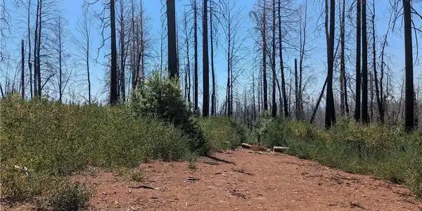 0 Stephens Ridge