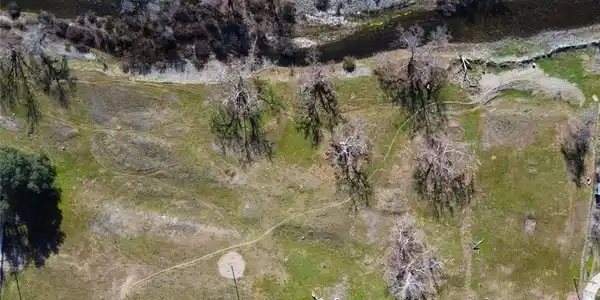 3 Lots, Live Oak Drive