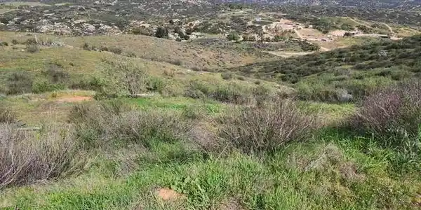1 Silver Springs