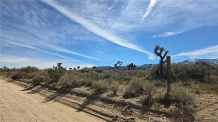 0 Fort Tejon Rd vicinity 181st St E