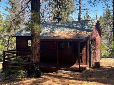 41 Stetson Creek