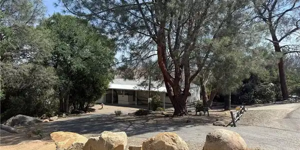 810 Sycamore Drive
