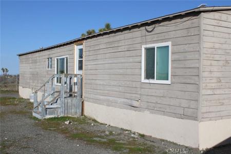 12543 Buckwheat