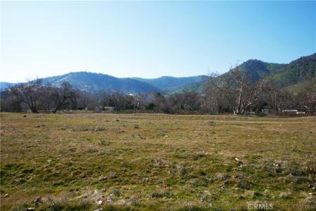 334 Lot, Live Oak Dr