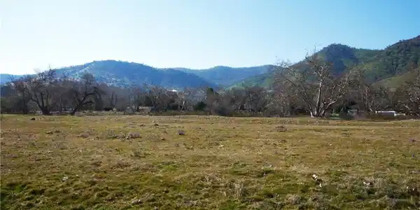 334 Lot, Live Oak Dr