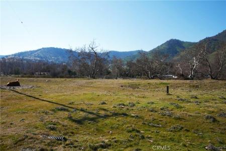 333 Lot, Live Oak Dr