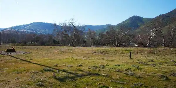 333 Lot, Live Oak Dr