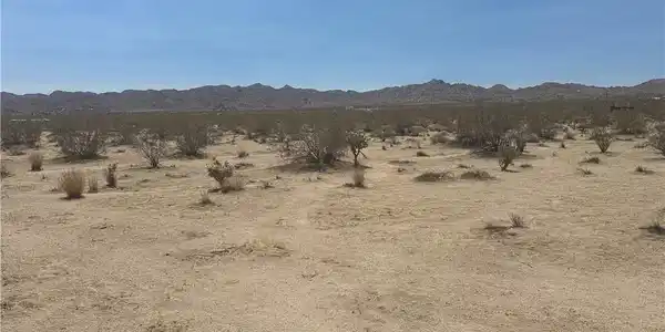 0 29 Palms Highway 62