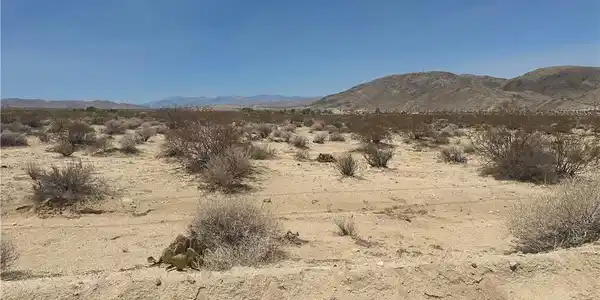 0 Mantonya Road