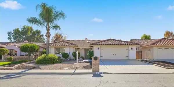 2635 Beech Tree