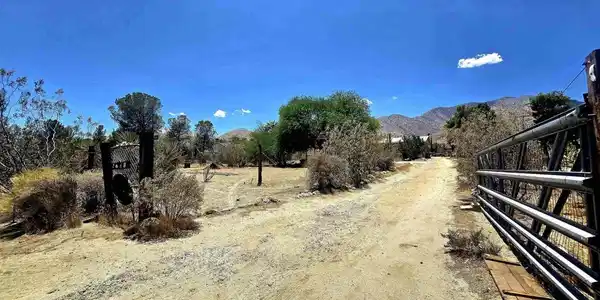 7438 Kickin Horse Trail