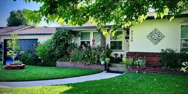 3720 Camellia