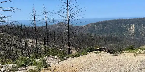 0 S Pine Mountain Rd.