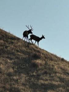 19825 New Idria Road