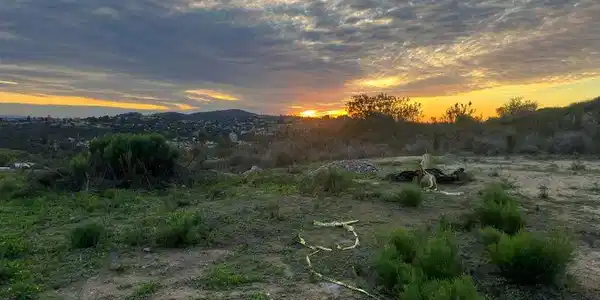 4172 Sundown Lane
