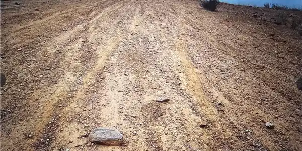 0 Locust