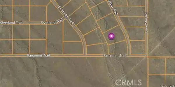 0 Cactus