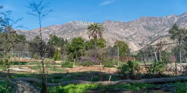 1134 E Altadena Drive