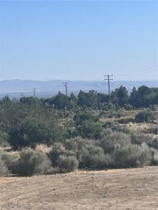0 Yuba 3037061040000