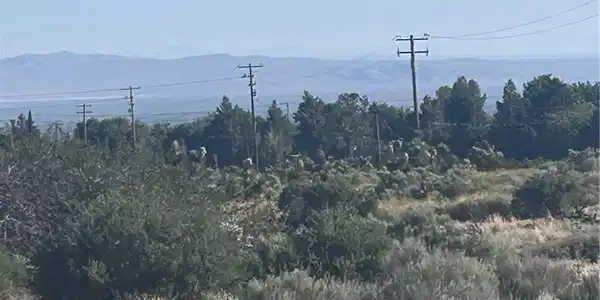 0 Yuba 3037061040000