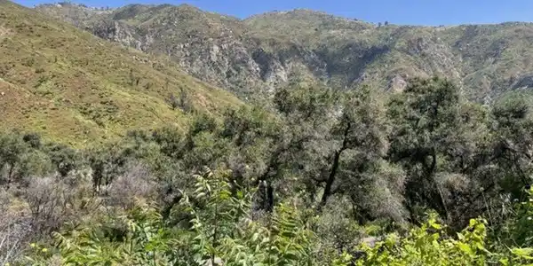 2070 Las Flores Canyon Road