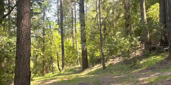 19179 Skyline Boulevard