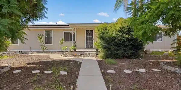34437 Tree Lane