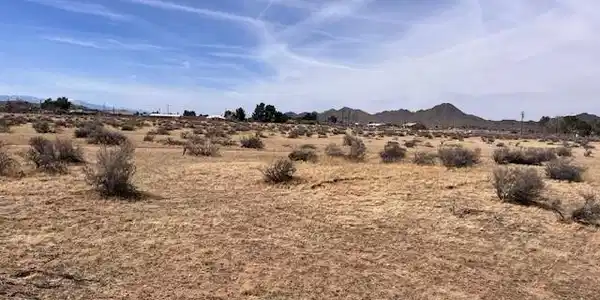 0 Navajo
