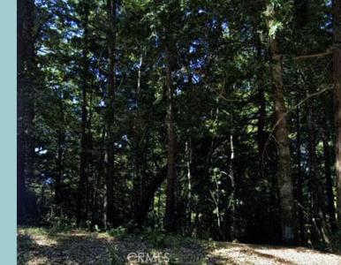 5181 Blue Lake Road