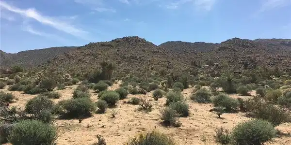 0 Sandalwood Trail