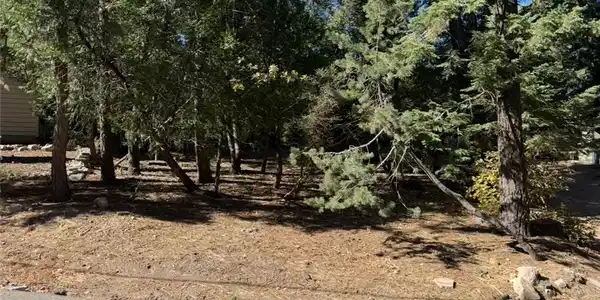 0 Clubhouse Drive