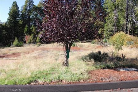 13911 Cluster Court
