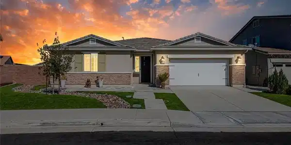 29162 Brittbush