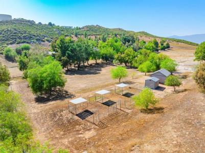 23007 Arjo Lane