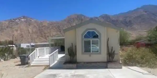 60035 Palm Oasis