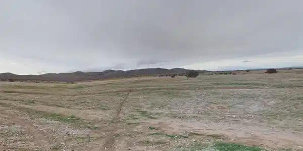 0 Wild Wash