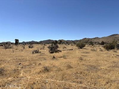 58225 San Andreas Road