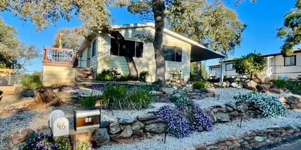 49 Montrose Drive