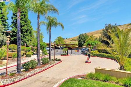 805 Watson Canyon Ct