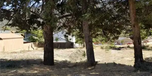 4232 Willow