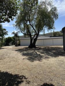 31245 Palimo Dr