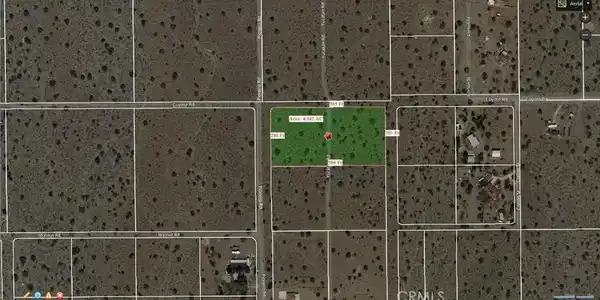 0 Coyote / Pionero Road