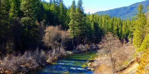 0 Scott River Rd
