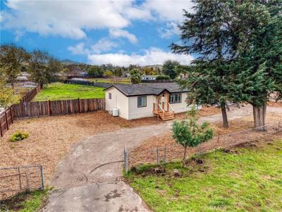 9132 Quarterhorse