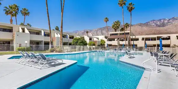 1655 E Palm Canyon Drive