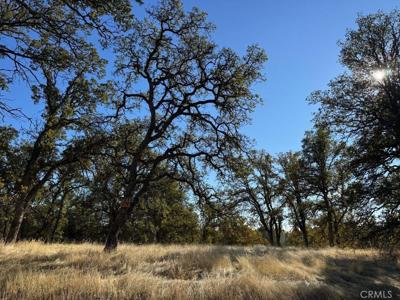 17333 Wagon Wheel Road