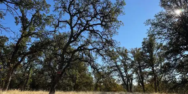 17333 Wagon Wheel Road