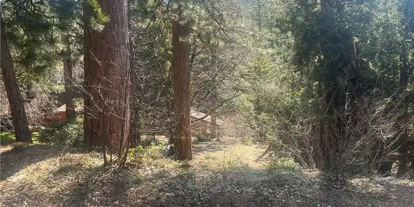 0 Robin Oak Drive
